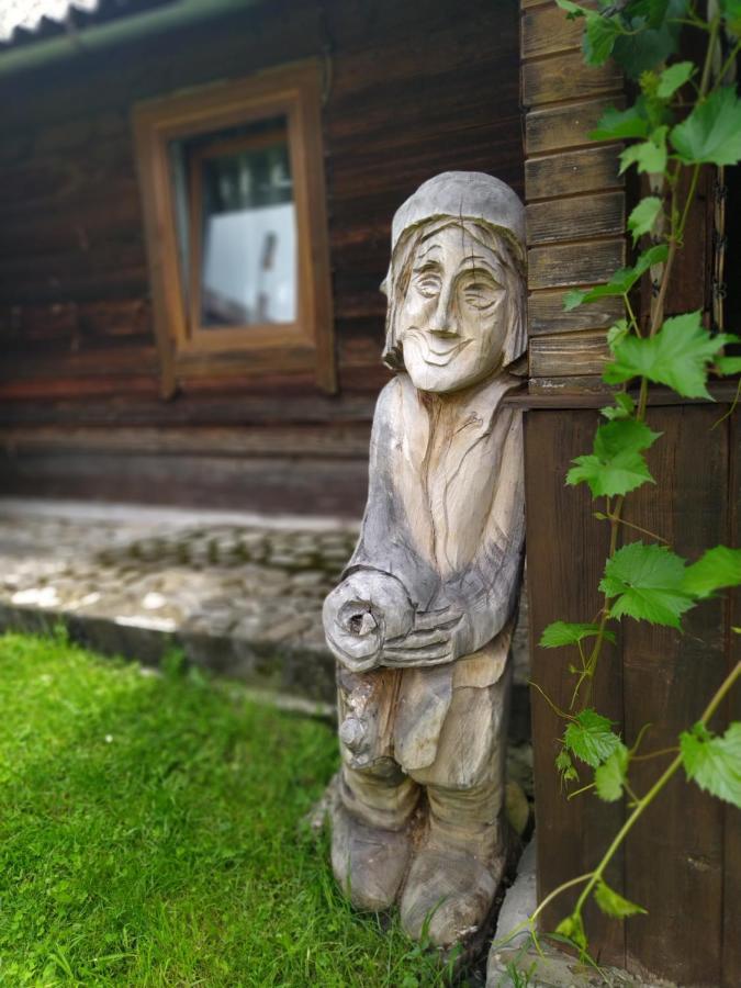 Starovitska Hata - Ethno-Cottage Verhovîna Exterior foto