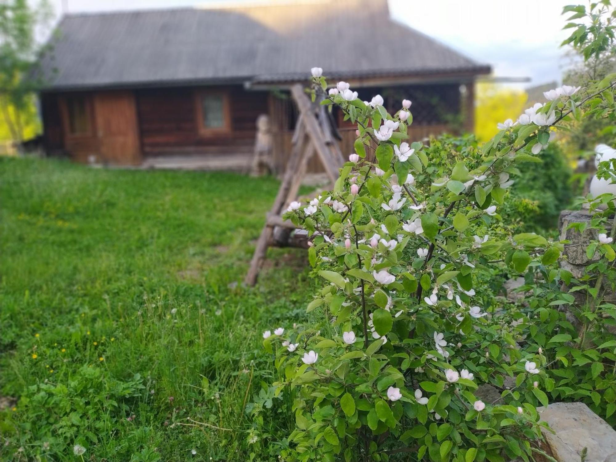 Starovitska Hata - Ethno-Cottage Verhovîna Exterior foto