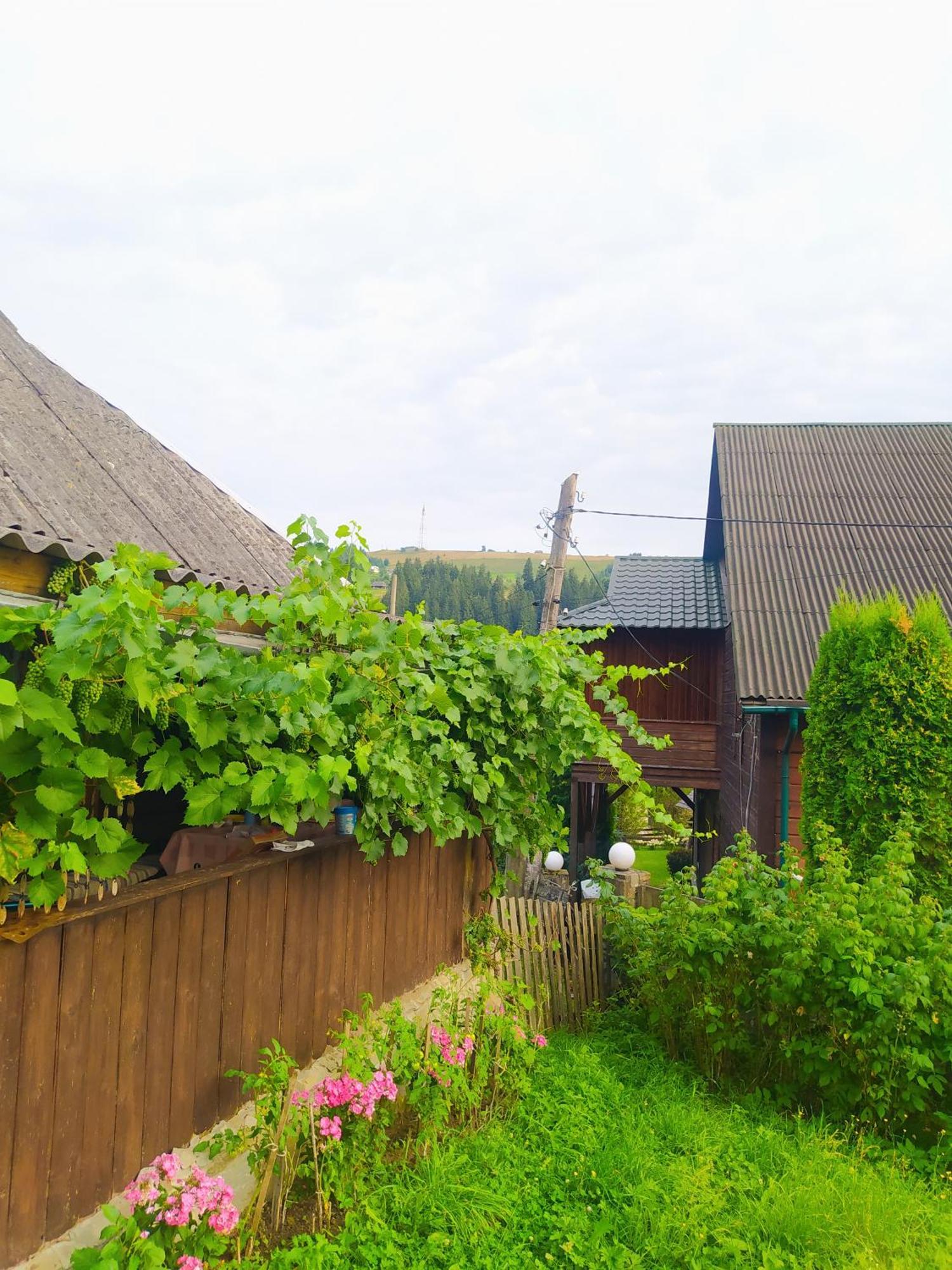 Starovitska Hata - Ethno-Cottage Verhovîna Exterior foto