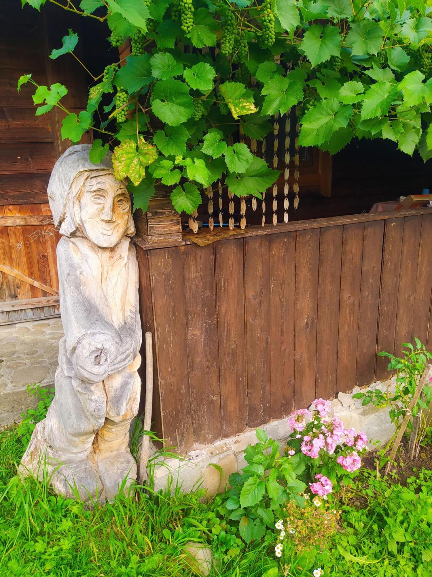 Starovitska Hata - Ethno-Cottage Verhovîna Exterior foto