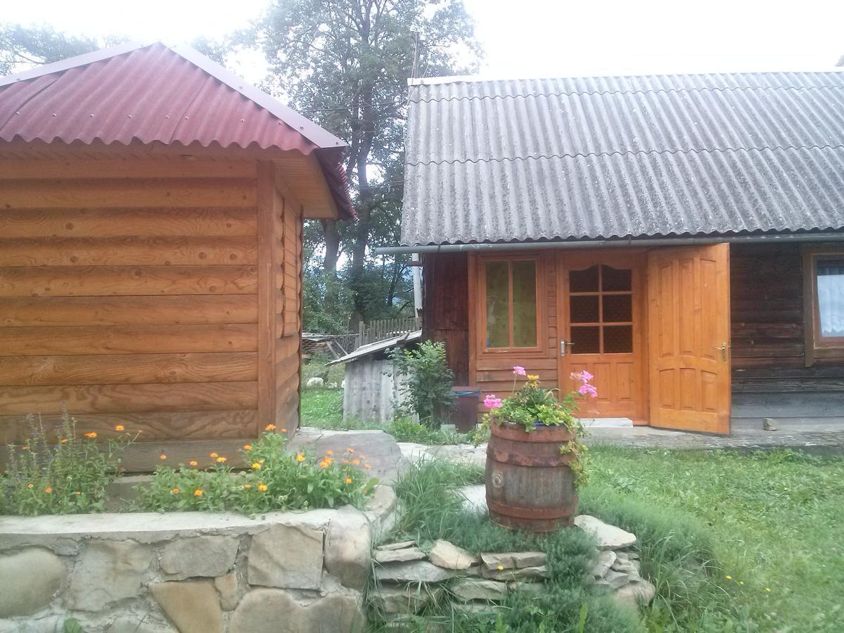 Starovitska Hata - Ethno-Cottage Verhovîna Exterior foto